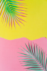 Fototapeta na wymiar Laid out tropical palm leaves branches over pink and yellow torn paper background. Summer theme concept. Flat lay, top view.