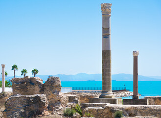 Panoramic view of ancient Carthage.Archaeological excavations. Tunis, Tunisia - 366915122