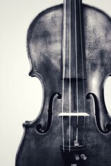 violin in a white background