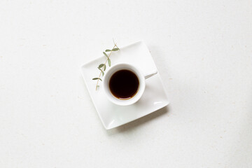 Cup of coffee with eucalyptus leaf on white background. top view, copy space