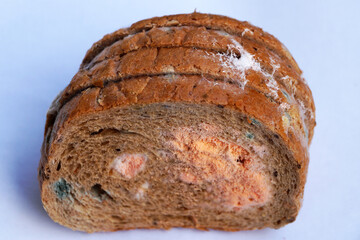 mold on bread close up