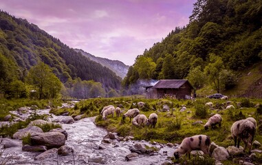 mountain landscape with mountains