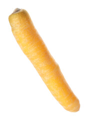 Fresh raw yellow carrot isolated on white