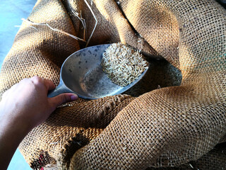 rice gain sack in the barn