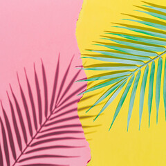 Tropical shadow and palm leaf branch. Pink and yellow torn paper background. Summer theme. Beach concept. Flat lay, top view.