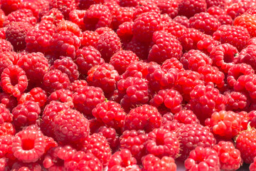 Detail of fresh and sweet raspberries.Berries.Raspberry fruit background. Beautiful selection of freshly picked ripe red juicy raspberries.Fruit macro photo.Delicious food with vitamins