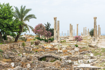Roman ruins Colonnade in Al Mina archaeological site, Tyre, Lebanon