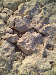 The structure of a stone on the Mediterranean coast close up.