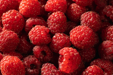 Fresh red Raspberry fruits as organic and vitamin food background, close up.