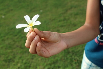 Flower in Hand.