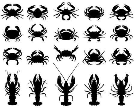 Black silhouettes of crawfish and crab on a white background