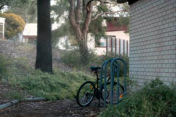 Obraz premium A bike on the park path