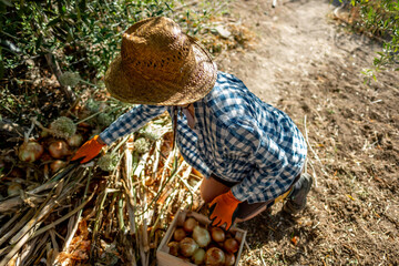 Young woman in hat picking onions