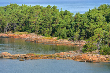 Coniferous forest on rocky island of Helsinki Archipelago in sunny day, Finland