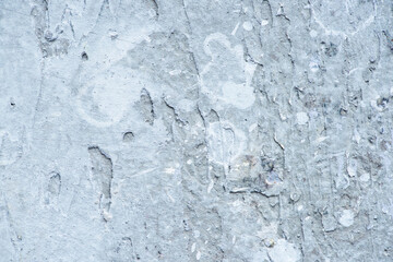rough abstract grey concrete textured wall