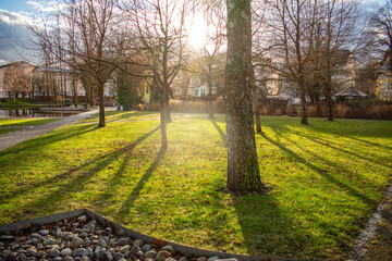 sunlight in the small park