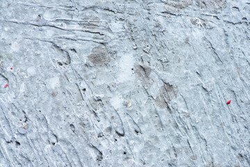 rough abstract grey concrete textured surface