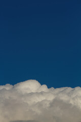 Blue sky. Cumulus clouds. Natural vertical background.