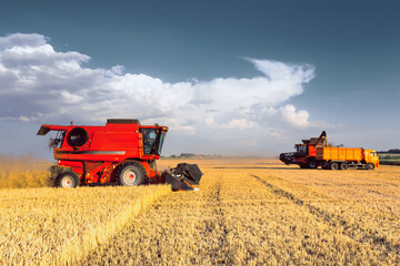 Harvesting grain in the field. Combine harvester and grain carrier.