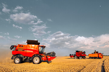 Harvesting grain in the field. Combine harvester and grain carrier.