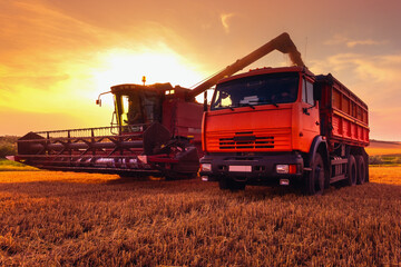Fototapeta premium Harvesting grain in the field. Unloading of grain from a combine harvester to a grain carrier.