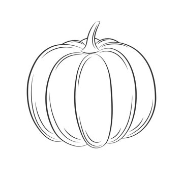 Pumpkin engraving line icon, outline vector sign isolated on white background.  Hand drawn vector retro style illustration. Farm market product.