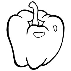 Bell pepper. Vector illustration of a sweet pepper. Hand drawn bell pepper. Sketch paprika.