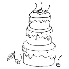 Cake icon. Vector illustration of strawberry cake, chocolate roll, berry cake.