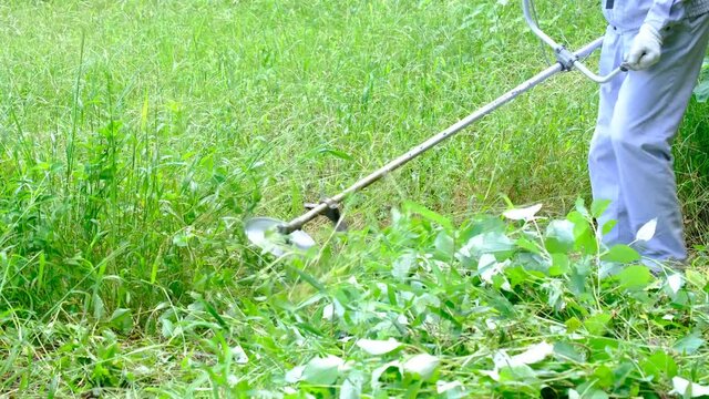 雑草の草を刈る作業服を着た男性