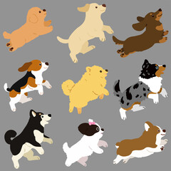 Set of flat colored cute and simple dog jumping and playing