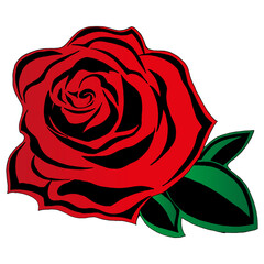 Red rose with leaves. Hand drawn rose flower. Vector illustration of a beautiful red rose.