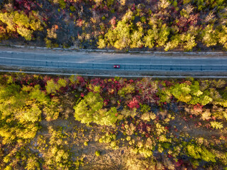Aerial view of colourful forest in autumn with road cutting through