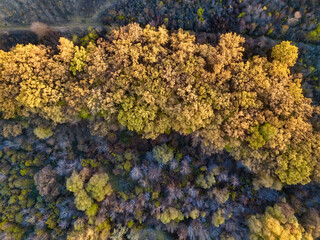 Beautiful bird s eye view drone landscape image during Autumn Fall of vibrant forest woodland. Autumn forest at sunrise, view from above