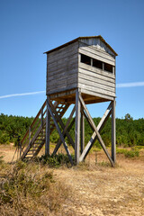 Puesto de observación de aves en un entorno natural