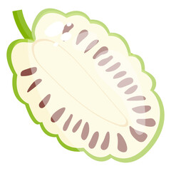 
Flat icon of durian, natural healthy food 
