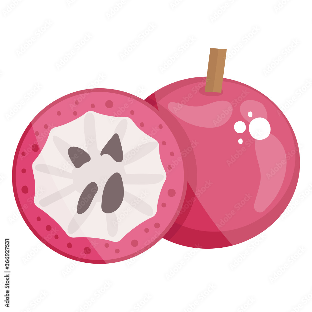 Sticker chrysophyllum cainito healthy fruit, flat icon of star apple