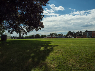 Obraz premium day in the park