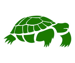 Green turtle on a white background, sign for design, vector illustration