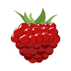 Raspberry with leaf vector icon. Raspberries. Forest berry. 