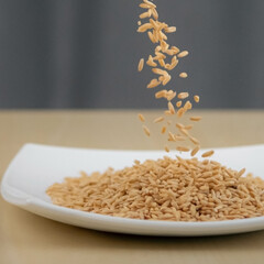 Oat grains falling to plate