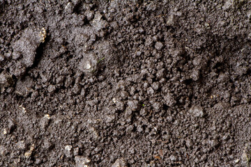 Fertile land background, soil texture. Close-up soil texture background. 