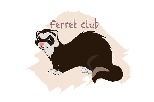 ferret club logo and lettering
