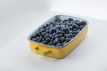 採りたてのブルーベリー