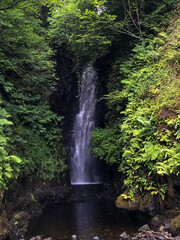 Fototapeta premium waterfall in forest