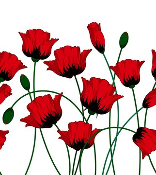 Excellent seamless pattern with with poppies