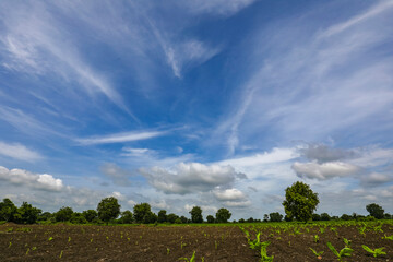 White clouds in the blue sky. Time lapse
