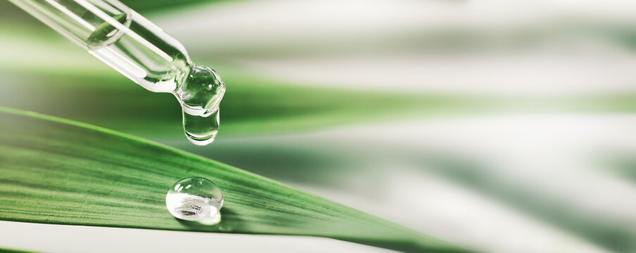 essentail oil drop from dropper on green leaf. beauty, wellness and body care. banner
