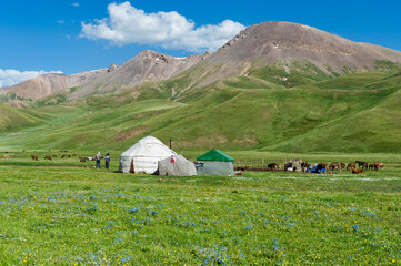 Nomad yurt camp, Song Kol Lake, Naryn province, Kyrgyzstan, Central Asia