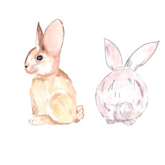 Watercolor illustration. Drawing of a rabbit in sketch style.
