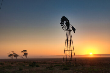 Sunrise silhouette of a windmill and Eucalyptus trees in a meadow